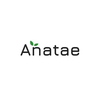 ANATAÉ, Matcha biologique 100% naturel